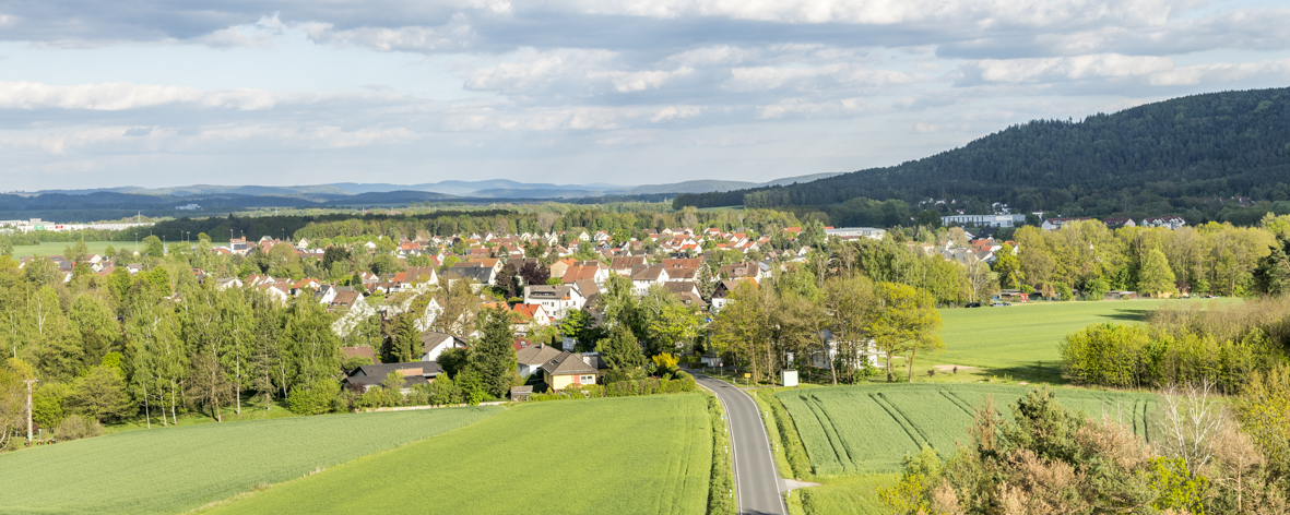 Panoramaaufnahme des Stadtteils Wildenheid.